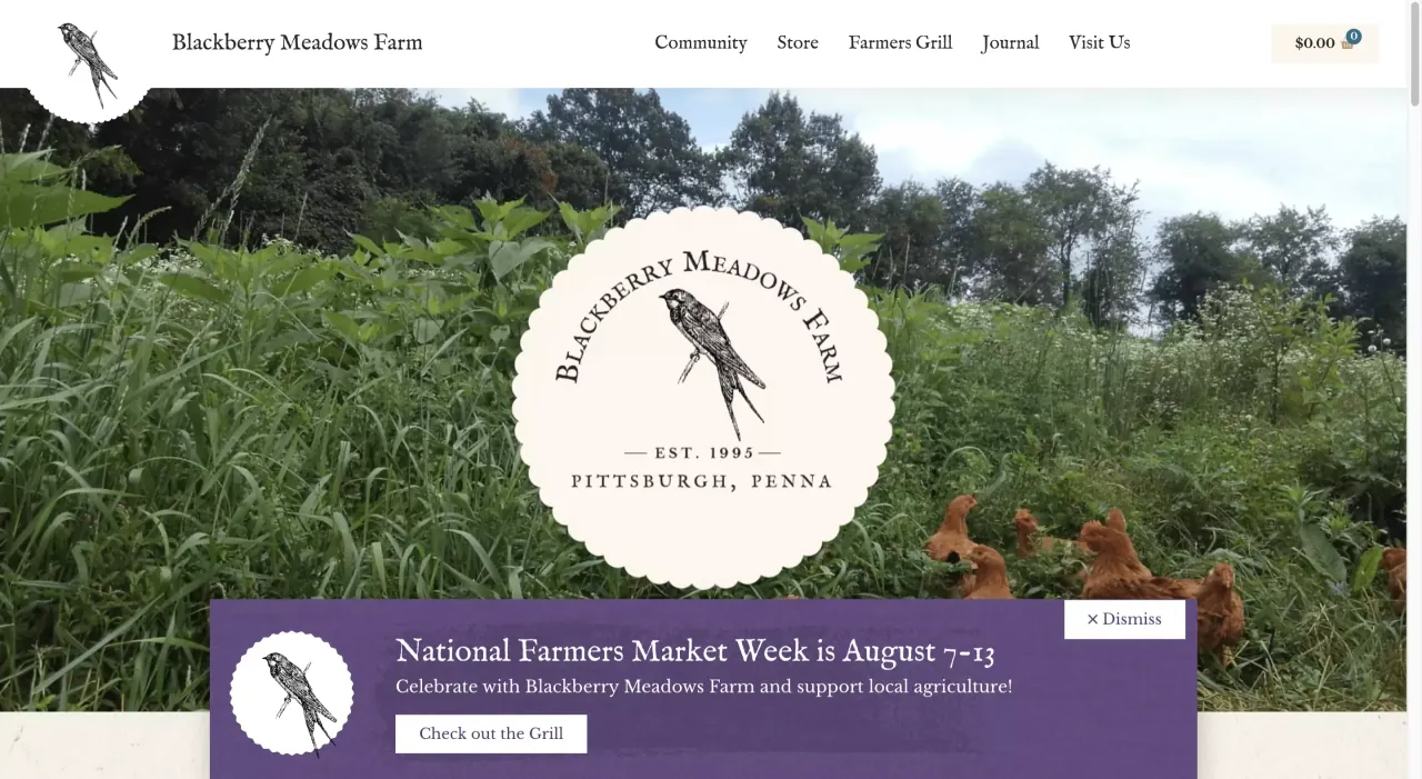 Blackberry Meadows website homepage (opens blackberrymeadows.com)